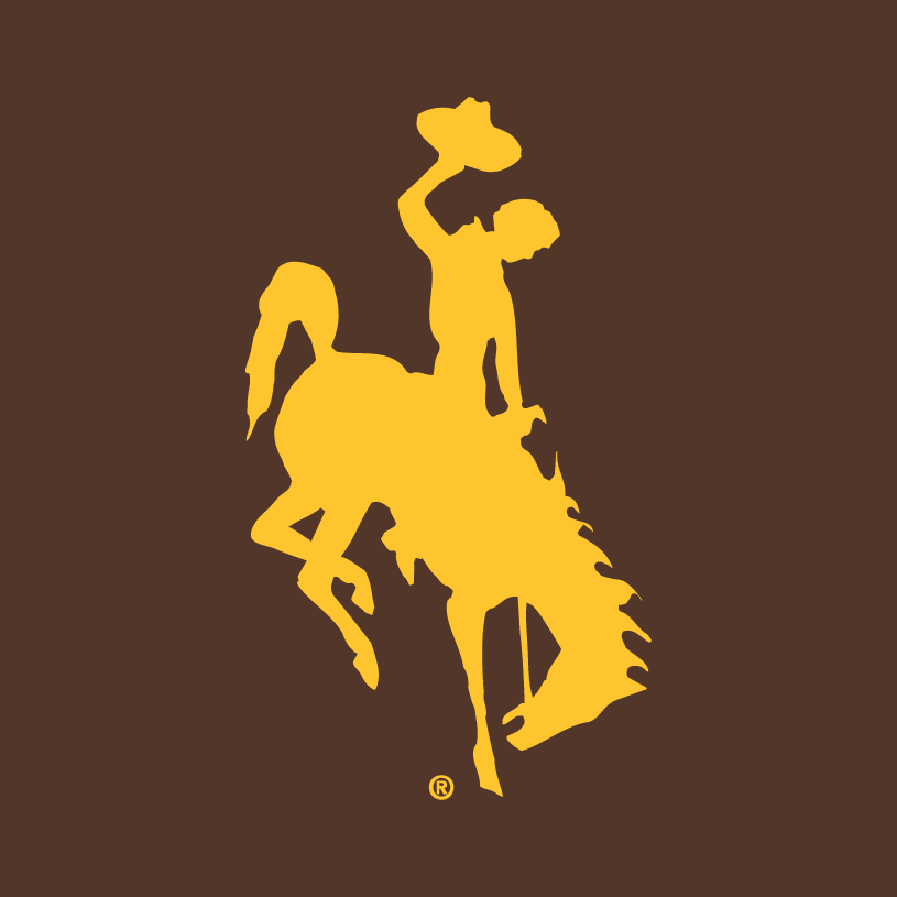 Wyoming Cowboys 2006-Pres Alternate Logo t shirts iron on transfers v2